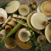 Creatable Geschirrset|Sahara - Kombiservice 3-tlg - Sand