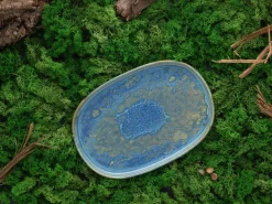 Creatable Platten|Geschirrset|Yuki - Servierplatte 2-tlg - Grün-blau